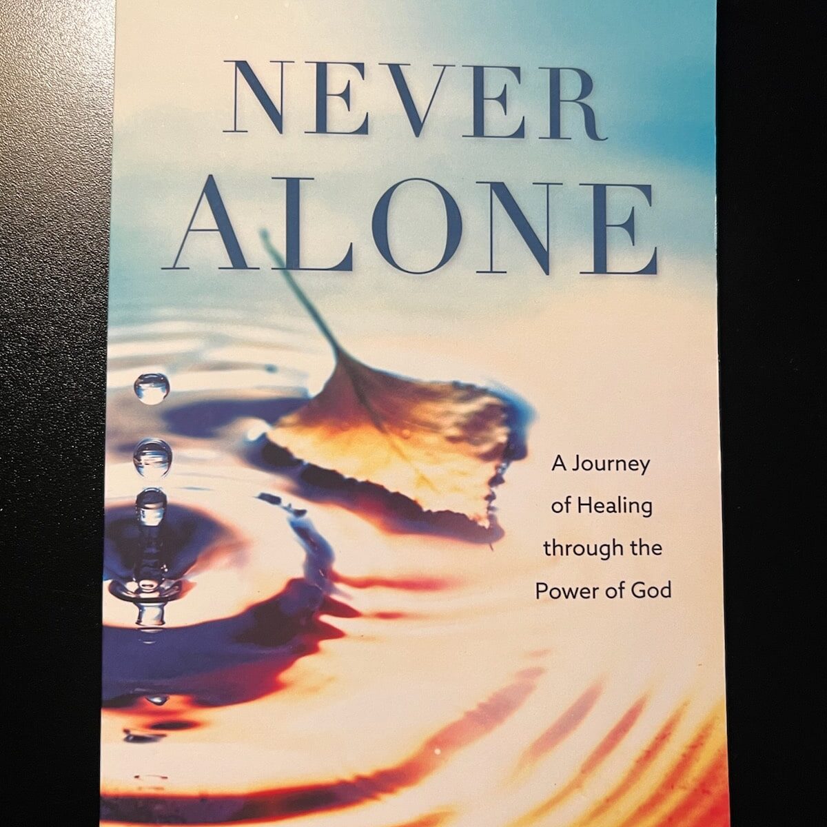 Never Alone book by Karen Gruden
